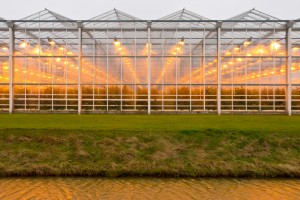 Greenhouse - Aquaculture Integration